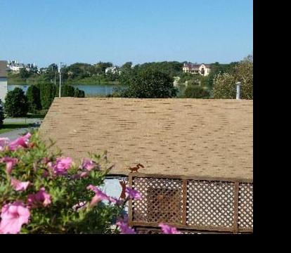 Photo of 1 Murray House