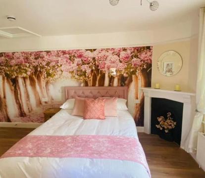 Photo of All Seasons Bed & Breakfast