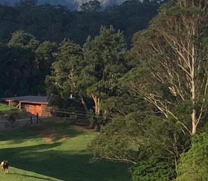 Photo of Amaroo Valley Springs