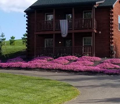 Photo of Amish Blessings Cabins