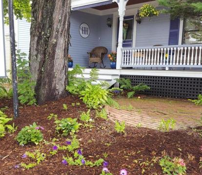 Photo of Holidae House Bed & Breakfast