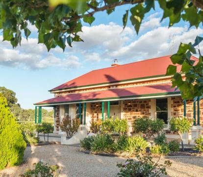 Photo of Barossa Shiraz Estate