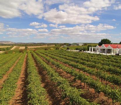 Photo of 1837 Barossa Luxury Vineyard Cottages