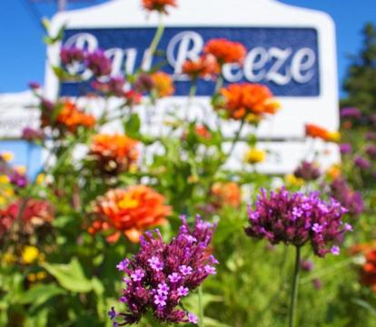 Photo of Bay Breeze Resort