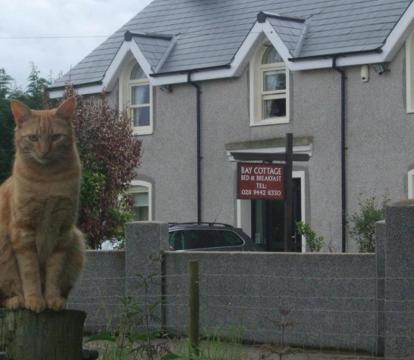 Photo of Bay Cottage Bed & Breakfast