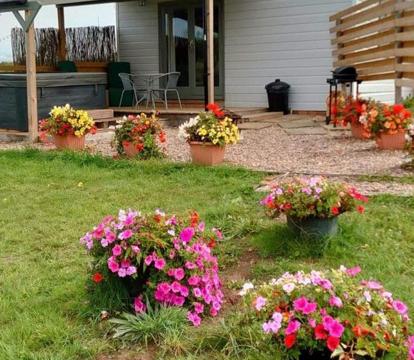 Photo of Beautiful Wooden tiny house, Glamping cabin with hot tub 3