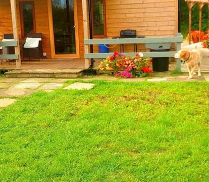 Photo of Beautiful Wooden tiny house, Glamping cabin with hot tub 2