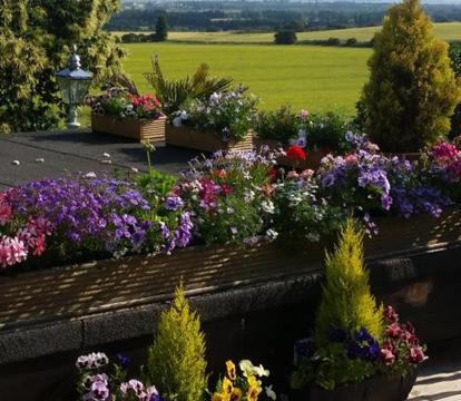 Photo of Bed & Breakfast Fieldview