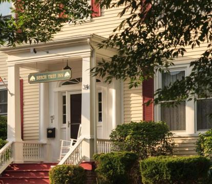 Photo of Beech Tree Inn and Cottage