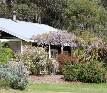 Photo of Big Brook Retreat