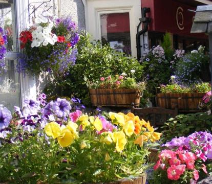 Photo of Birchleigh Guest House