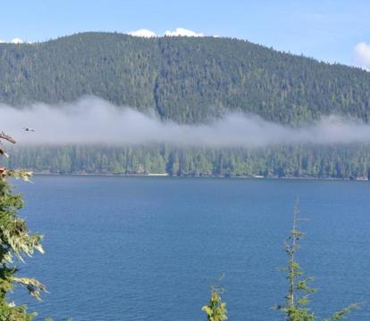 Photo of Bjørn Holm
