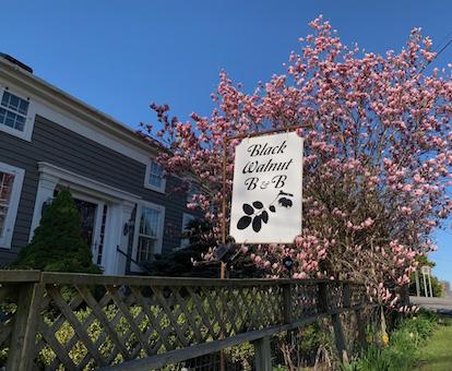 Photo of Black Walnut Bed and Breakfast