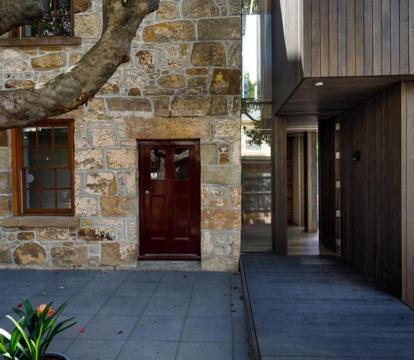 Photo of Blue Magnolia