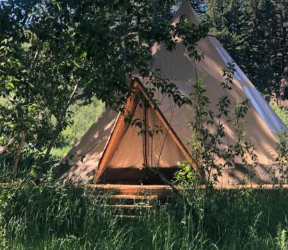 Photo of Bodhi Farms