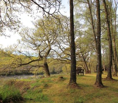 Photo of Burnbank Lodges