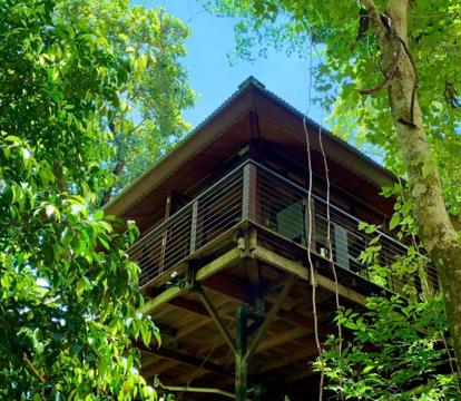 Photo of Cairns Rainforest Retreat