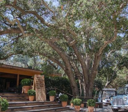 Photo of Calamigos Guest Ranch and Beach Club