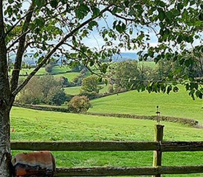 Photo of Caplor Glamping & Lodges