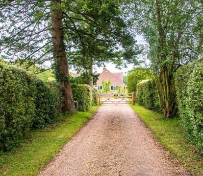 Photo of Chambers Place