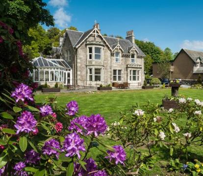 Photo of The Claymore