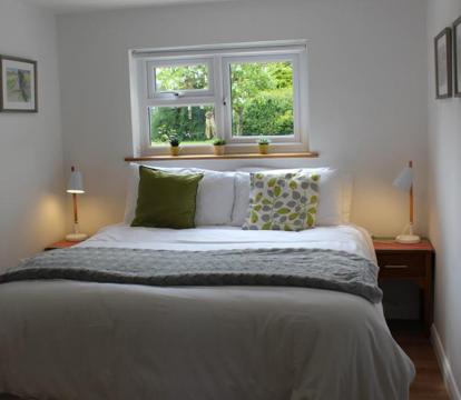 Photo of Collis Annexe