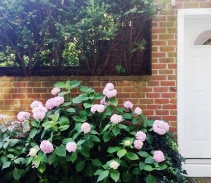 Photo of Comfy Whole Unit, Private Entrance, Free Parking, Minutes to Georgetown