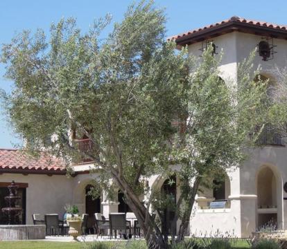 Photo of Croad Vineyards - The Inn