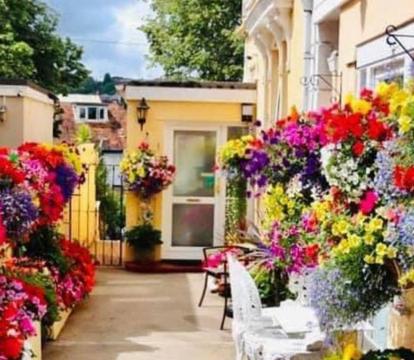 Photo of Crowndale Torquay - Exclusively for Adults