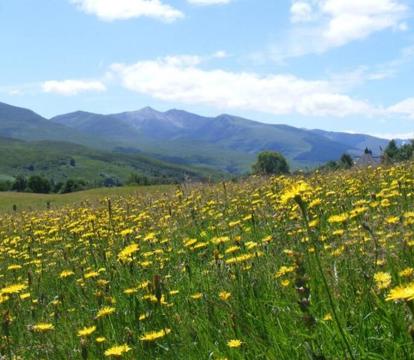Photo of Cul Darach Lodge, Glen Roy Nature Reserve