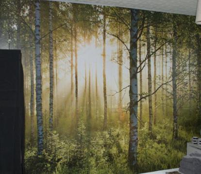 Photo of Dan's House