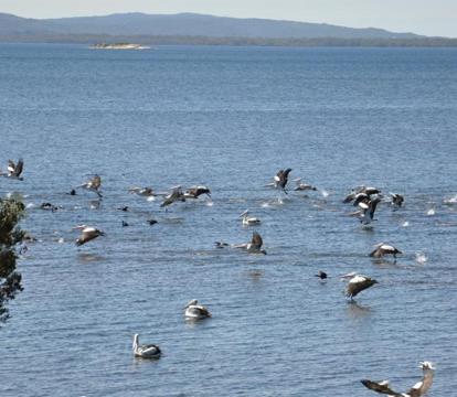 Photo of Denmark Waters B&B