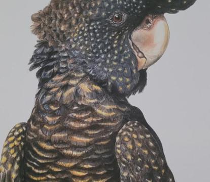 Photo of Deville At Healesville