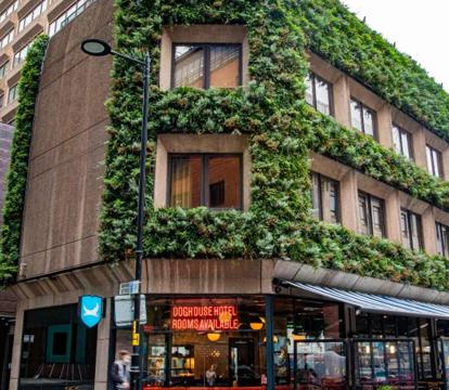 Photo of BrewDog DogHouse Manchester