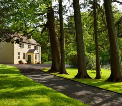 Photo of Dromard House