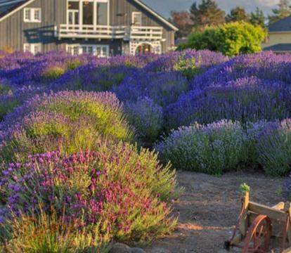 Photo of Dungeness Barn House at Two Crows Farm