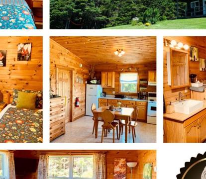 Photo of Eagle Valley Cottages