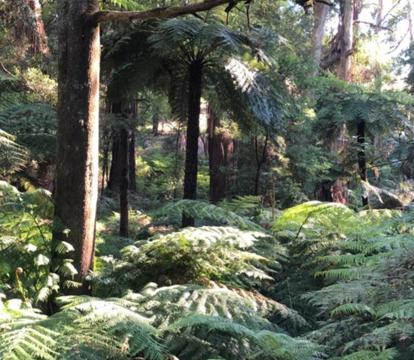 Photo of Emerald Creek Cottages