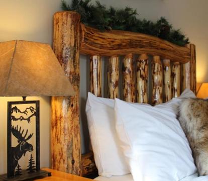 Photo of The Evergreen