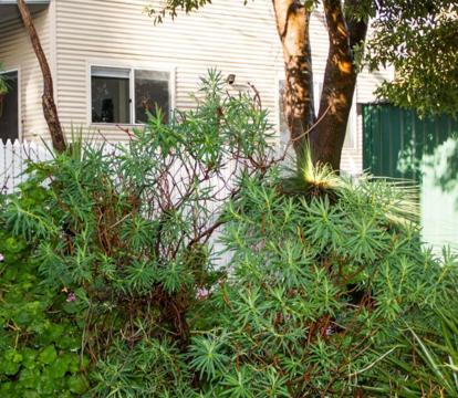 Photo of Farview Guest Accommodation