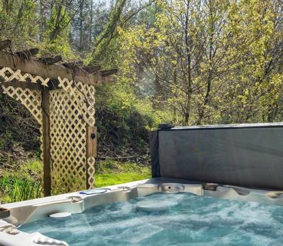 Photo of Fireflies and Moonshine