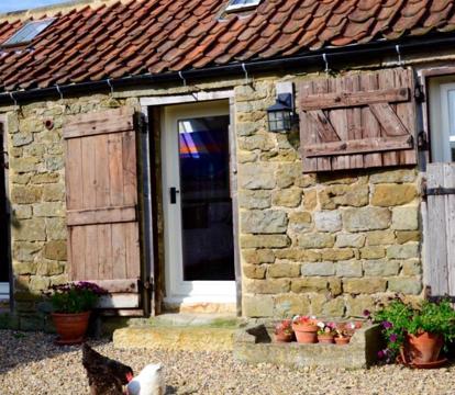 Photo of Folly Hall Farm