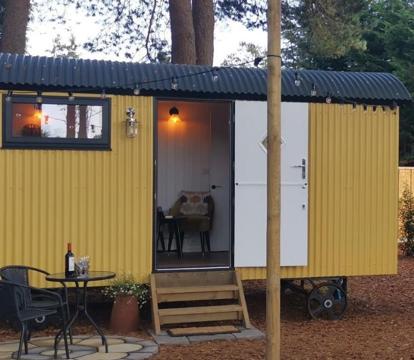 Photo of Forest Heath Shepherd's Hut