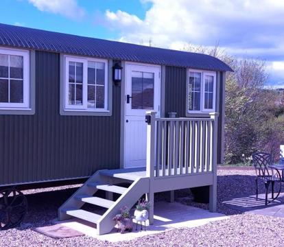 Photo of Foresterseat