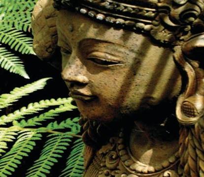 Photo of Forget Me Not Cottages