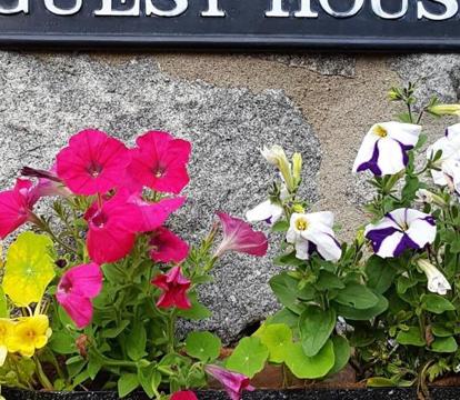 Photo of Gales Guesthouse