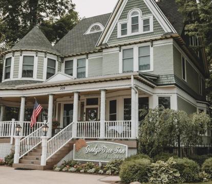 Photo of The Ginkgo Tree