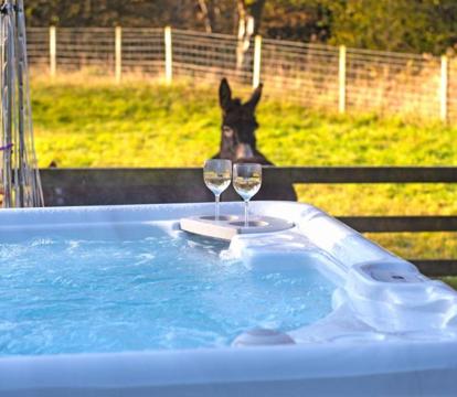 Photo of 2 Bed Lodge with private Hot Tub on Animal Haven Farm