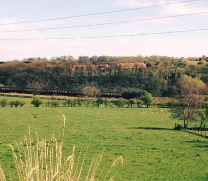 Photo of Glen View B & B