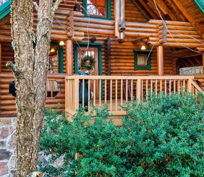 Photo of Gnome Alone